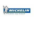 Michelin Reifenwerke AG & Co. KGaA